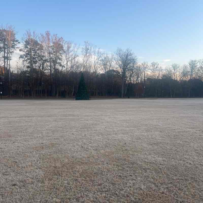 alexis.brinson post 1