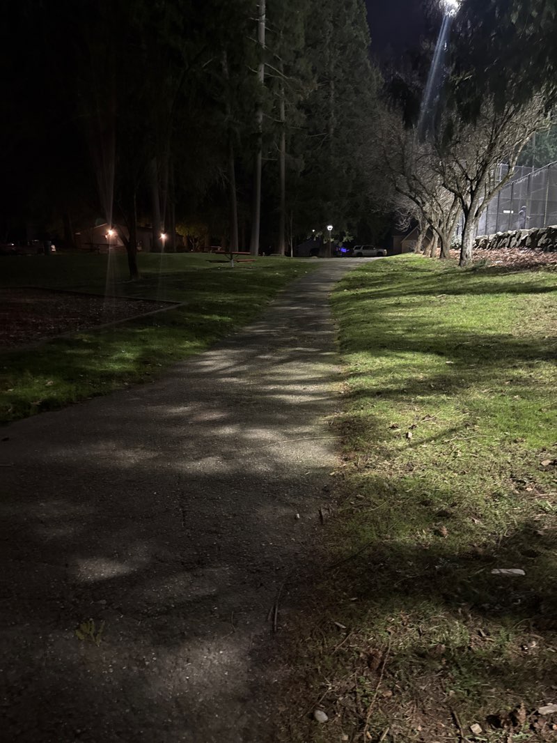 walking near me in Evergreen Playfield in winter