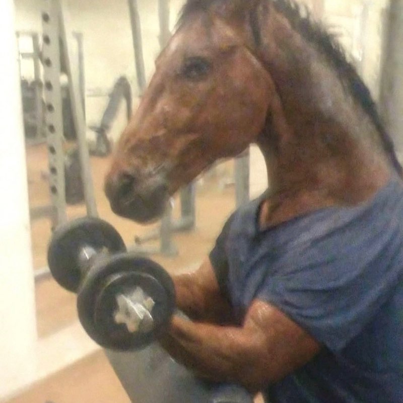 petteri porpo profile