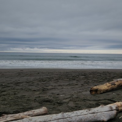 Fam Rabana Lynn post image