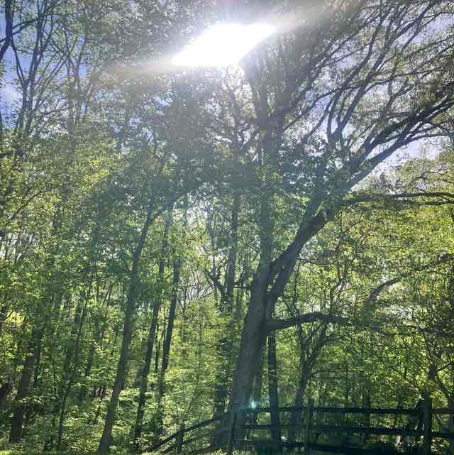 Rocky post 2