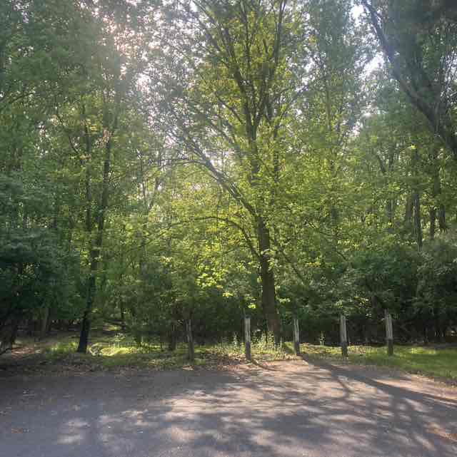 Rocky post 1