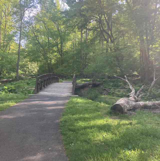 Rocky post 1