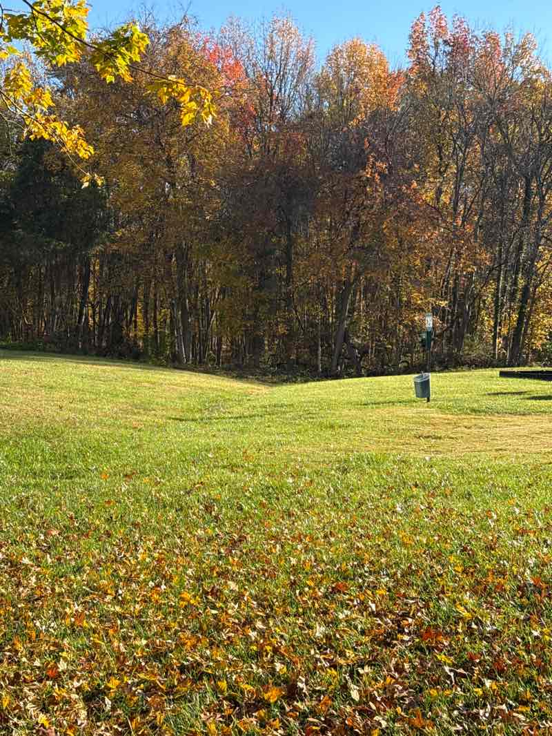 walking near me in Pole Road Park in autumn