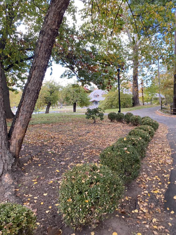 walking near me in Taylor Park in autumn