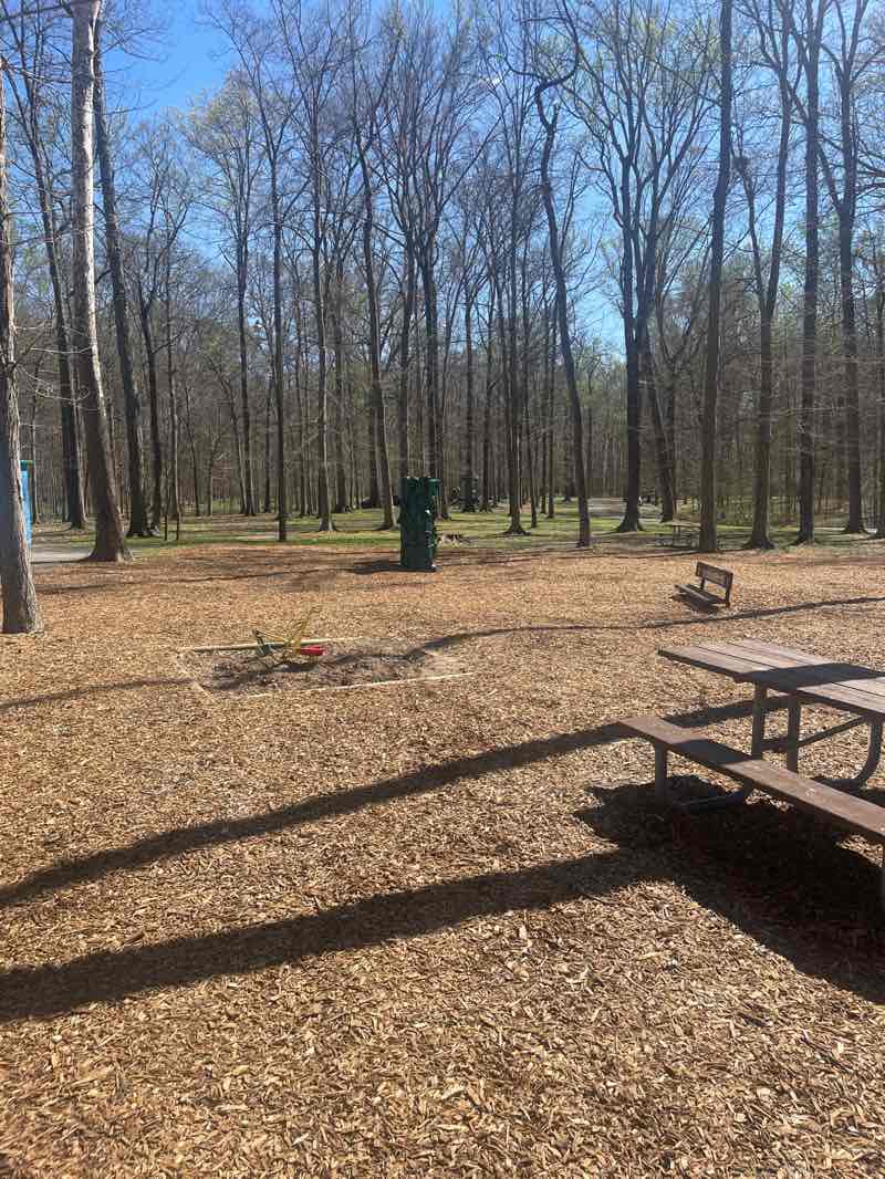 walking near me in Lapping Park in spring