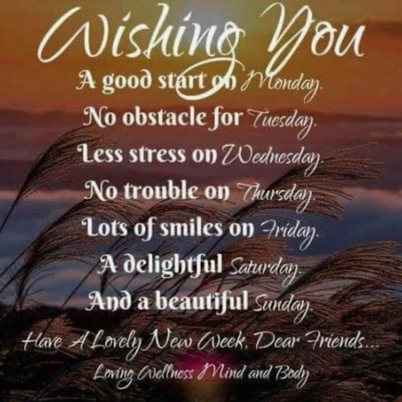 Walk Away the Pounds Lily post image