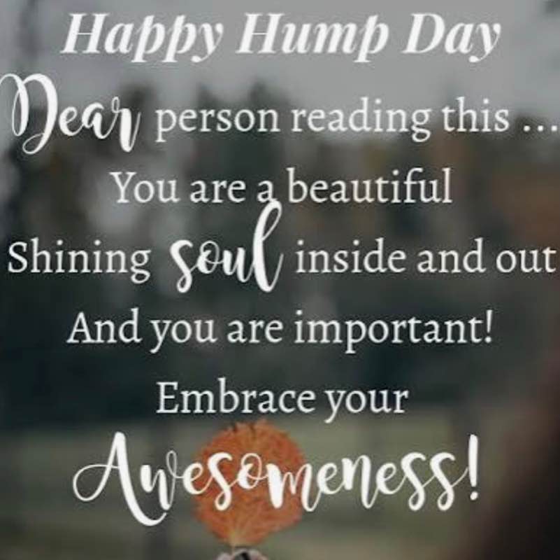 💎🐎✨Space Fam 🎯👣🌷🎶💫🍀 Lily post image