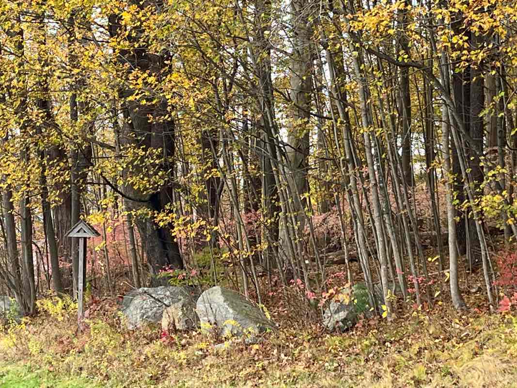 walking near me in Assabet Park in autumn