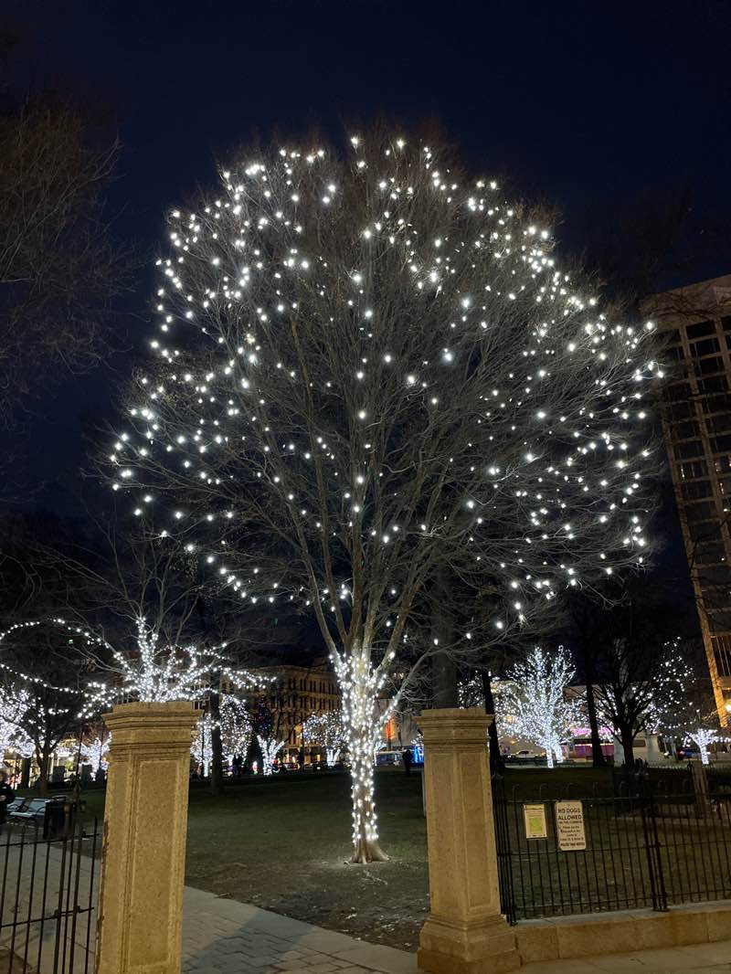 walking near me in City Common in winter