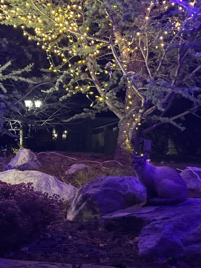 walking near me in Canterbury North Park in winter