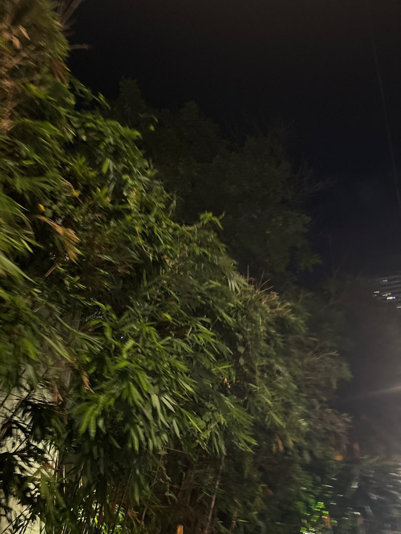 walking near me in Greenfield Central Park in autumn