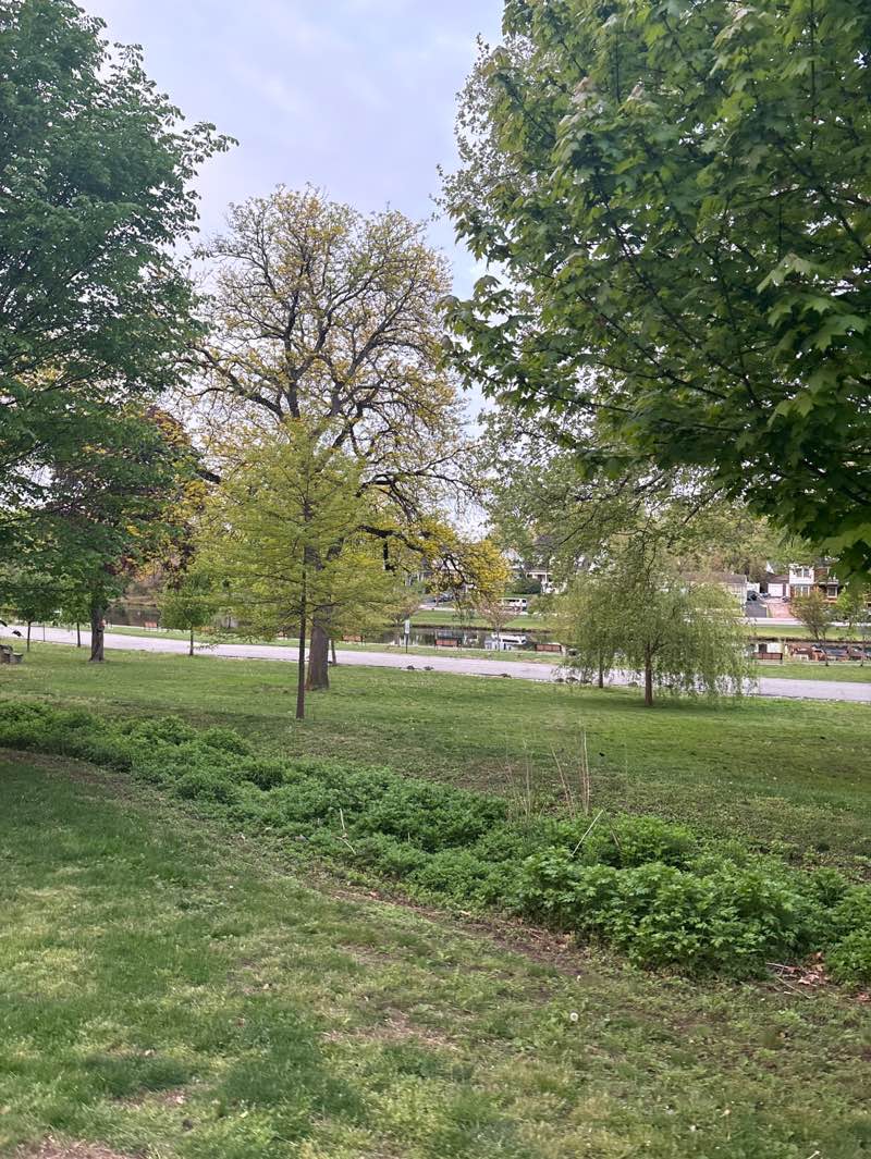 walking near me in Veterans Memorial Park in spring