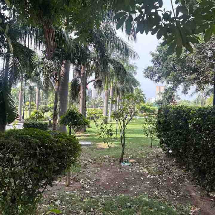 Vimal post 3