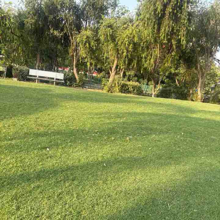 Vimal post 1