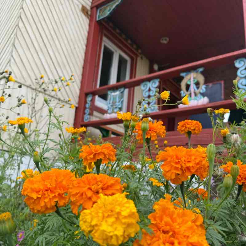 Ябагаар Ольга Болотова post image