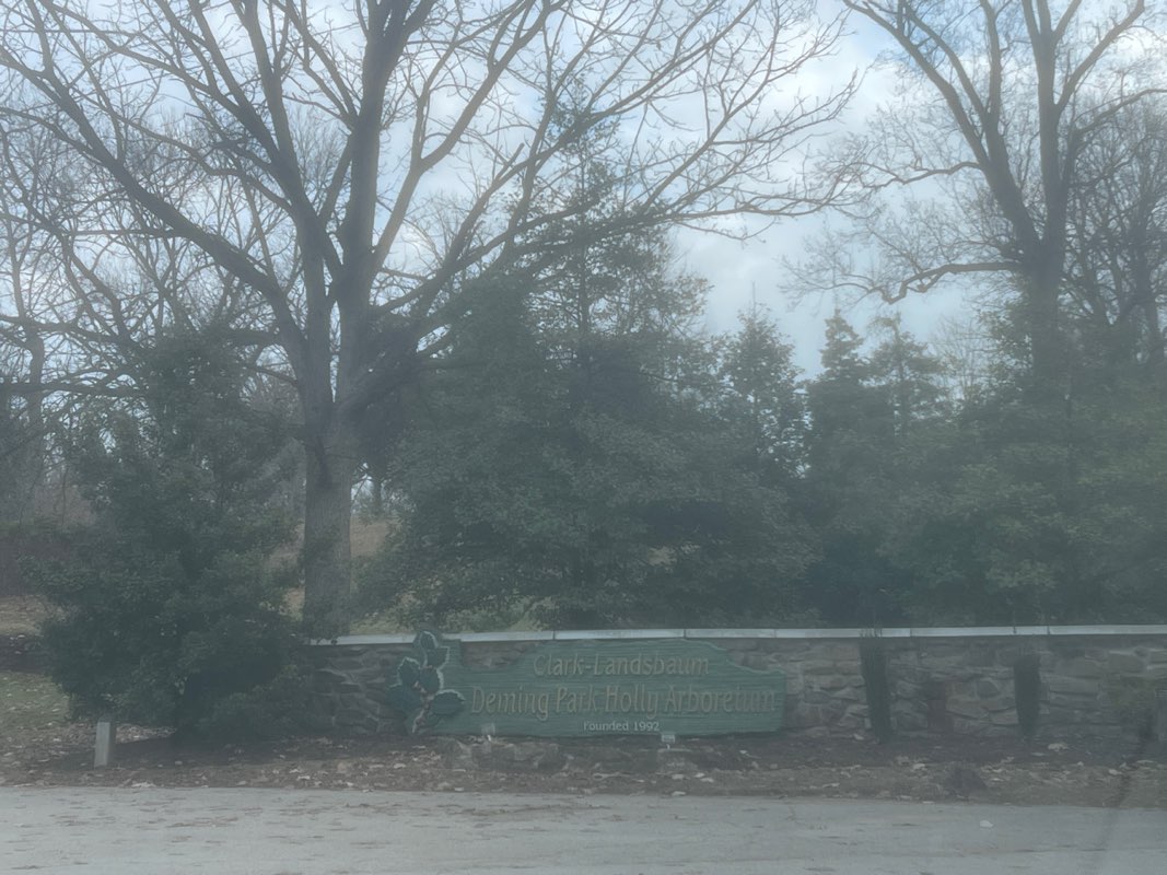 walking near me in Deming Park in winter