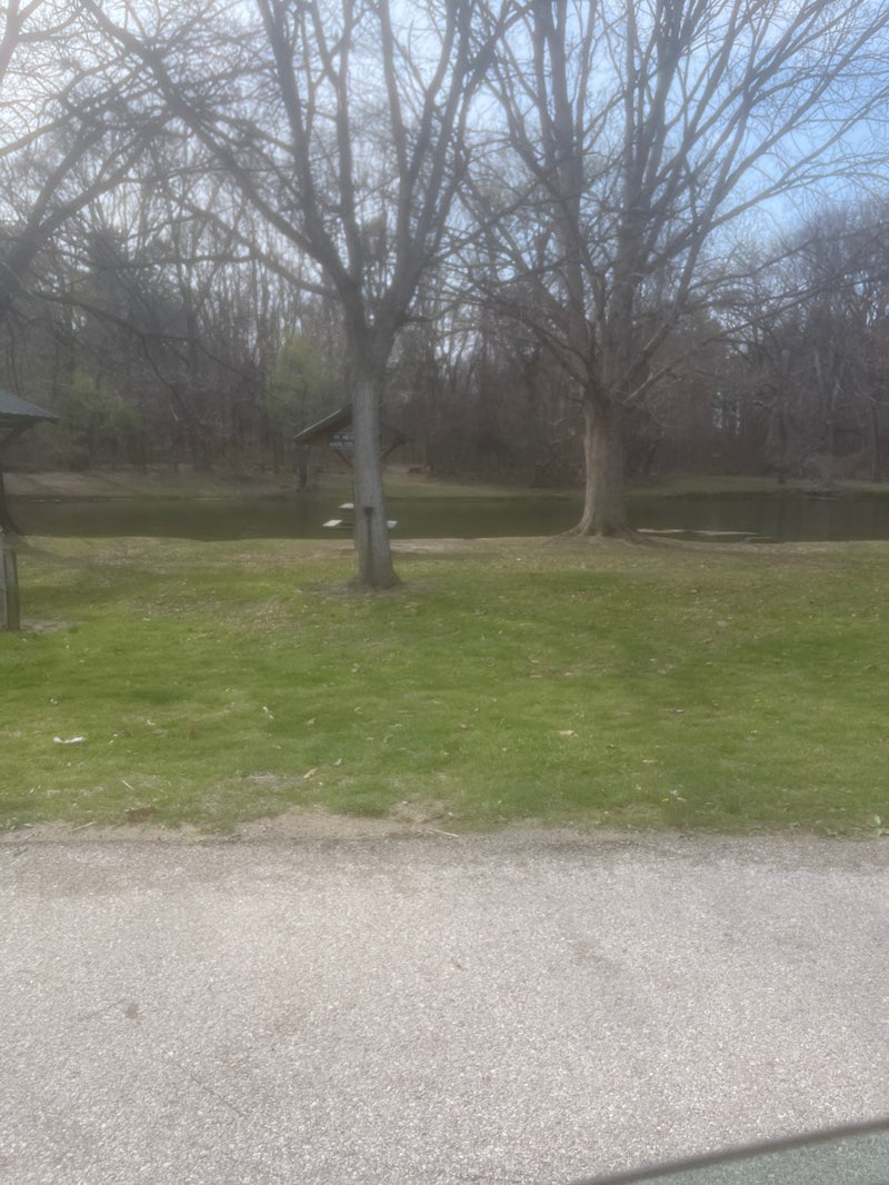 walking near me in Dobbs Park in spring