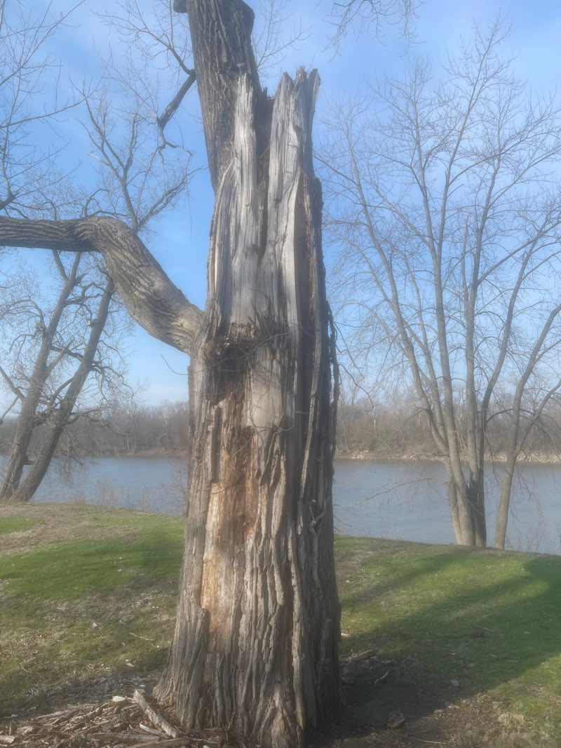 walking near me in Fairbanks Park in spring