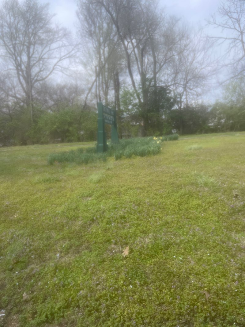 walking near me in Centennial Park in spring