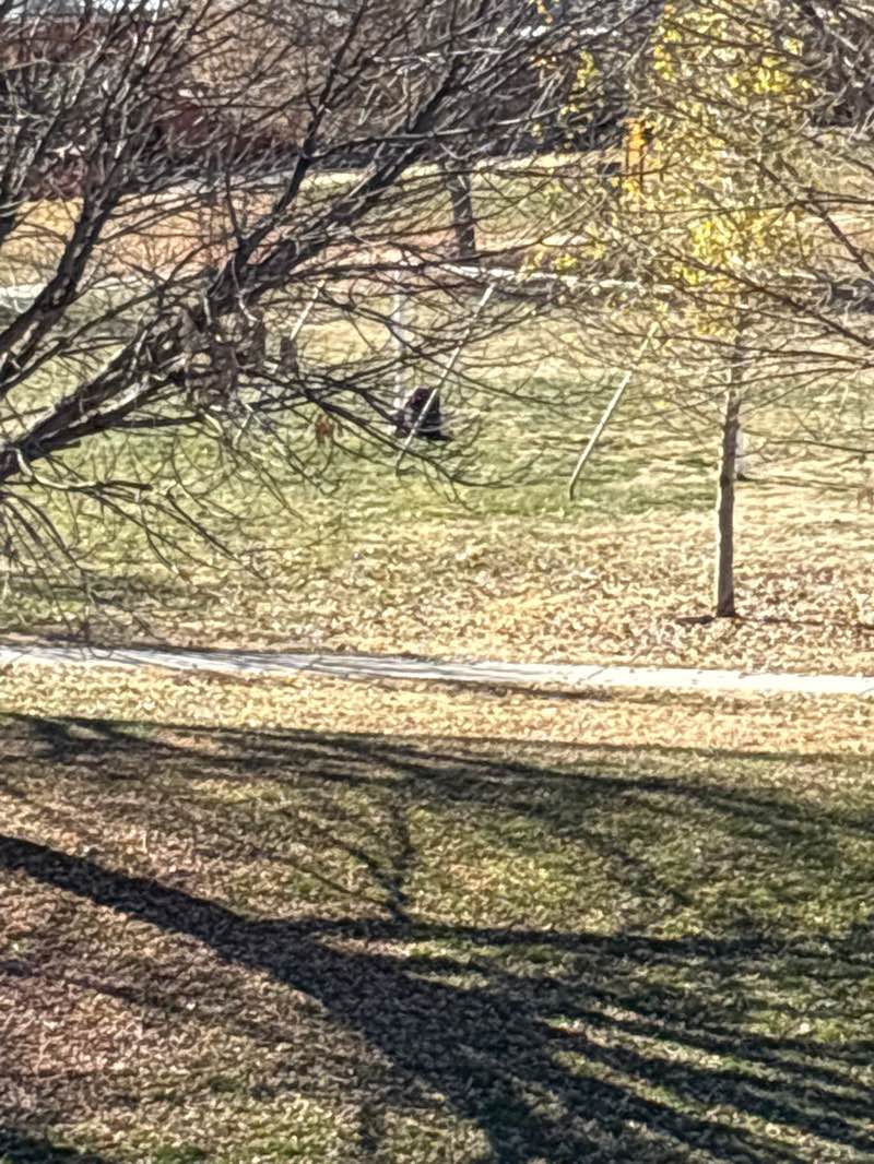 walking near me in Tiguex Park in winter