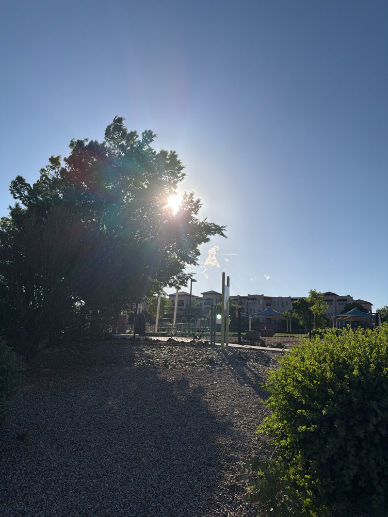 walking near me in A Park Above in spring