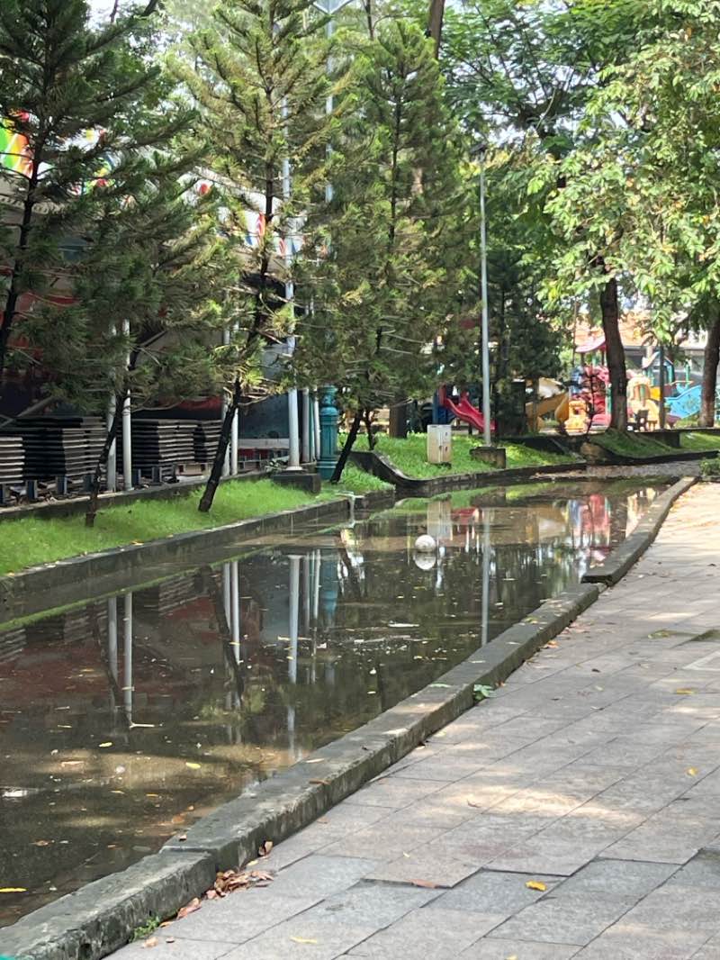 walking near me in Phu Lam Park in autumn