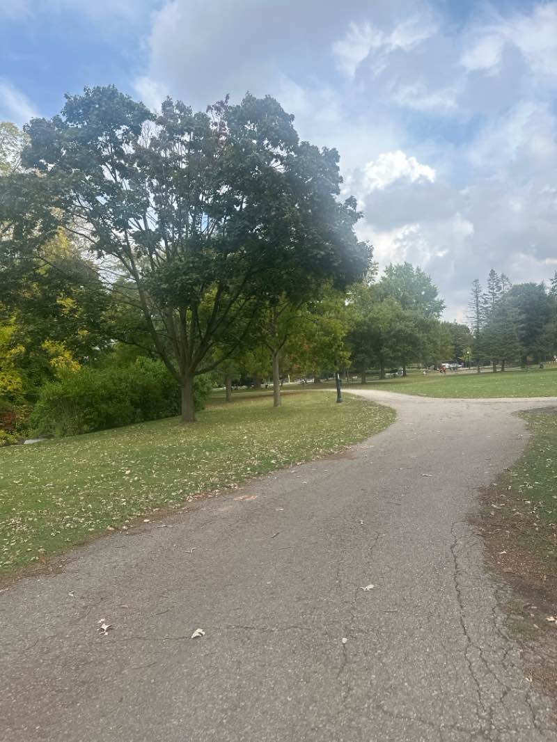 walking near me in Victoria Green in autumn