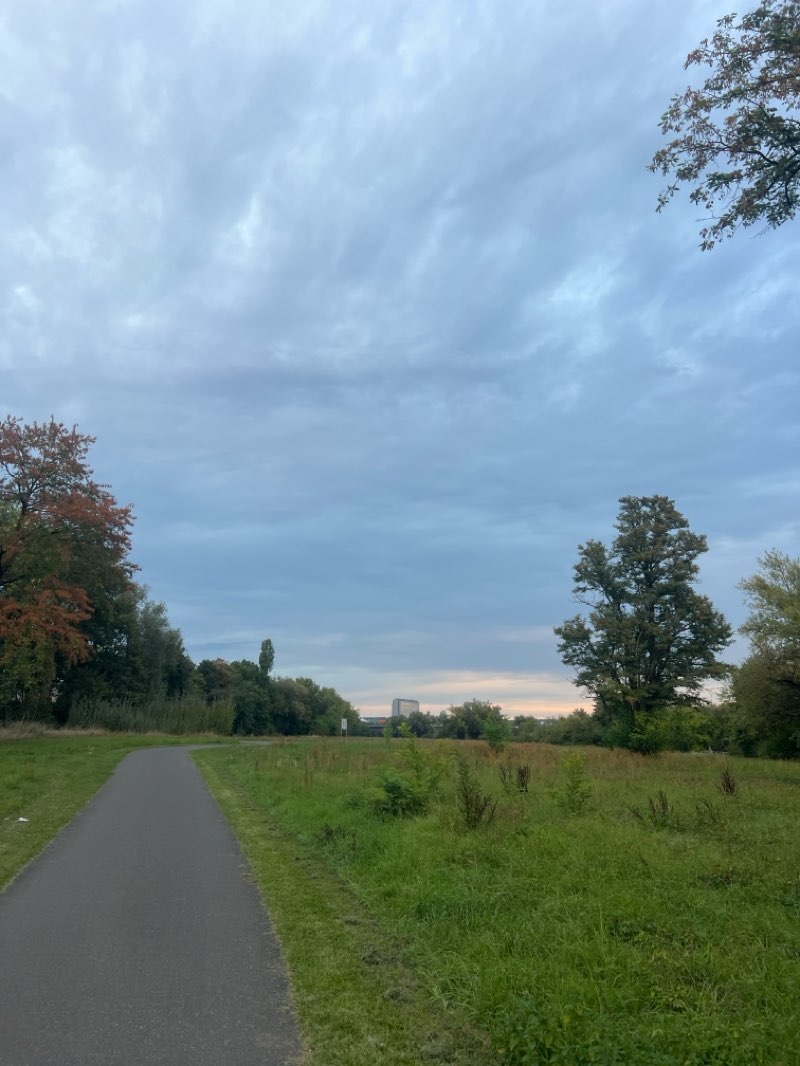 walking near me in Alter Friedhof in autumn