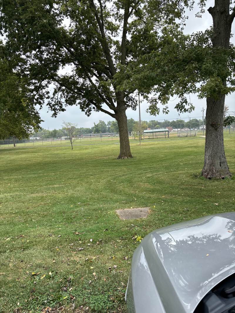 walking near me in Hess Park in autumn