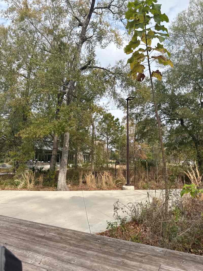 walking near me in Memorial Park in winter