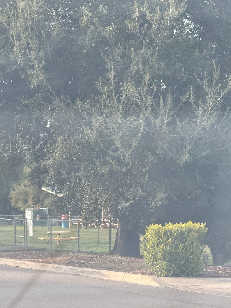 walking near me in Ramona Oaks Park in winter