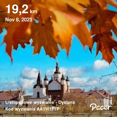 November Distance Challenge Pati post image