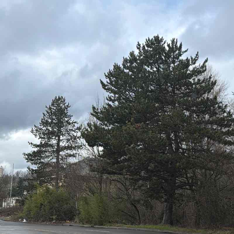 jimmymccallion post 1