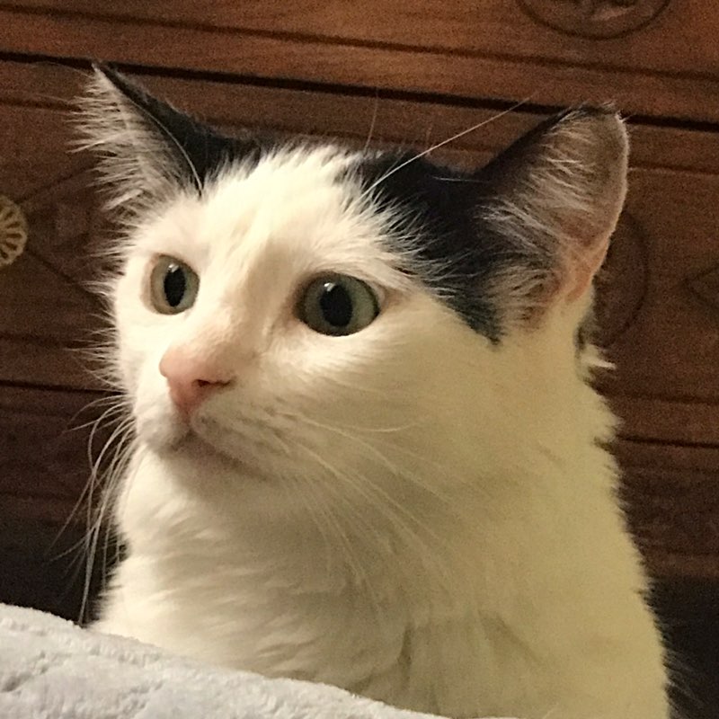 Nina