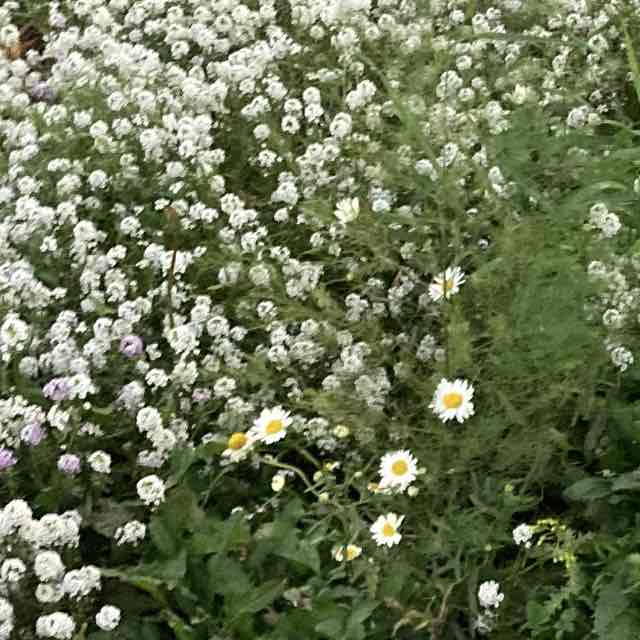 На пути к здоровью Мансура post image