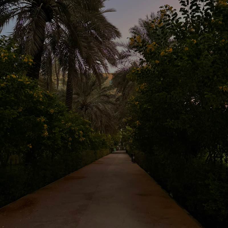 Campione di maratona 🧲🥇 Saud post image