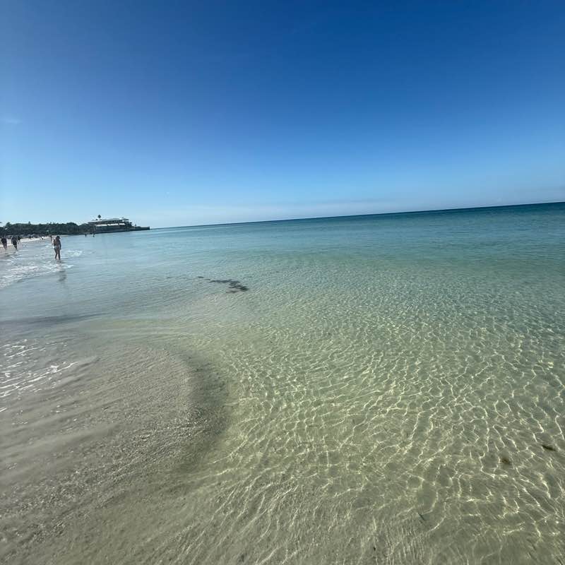 Vengnerds Jordan post image