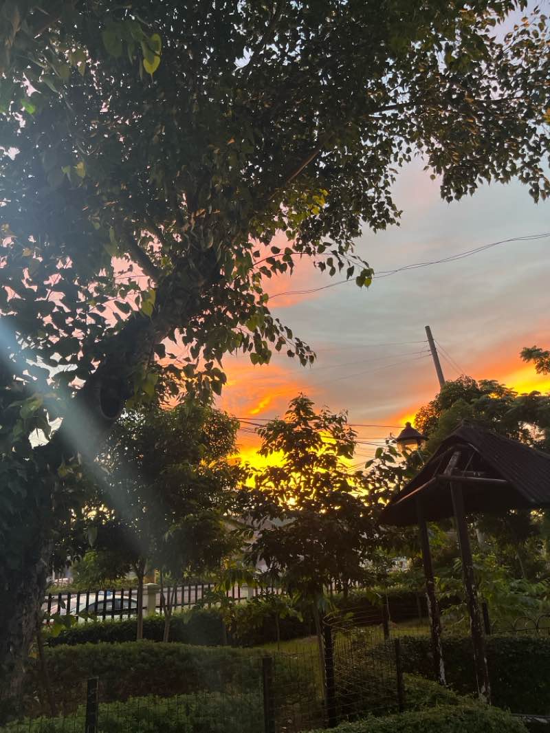 walking near me in Plaza Independencia in autumn