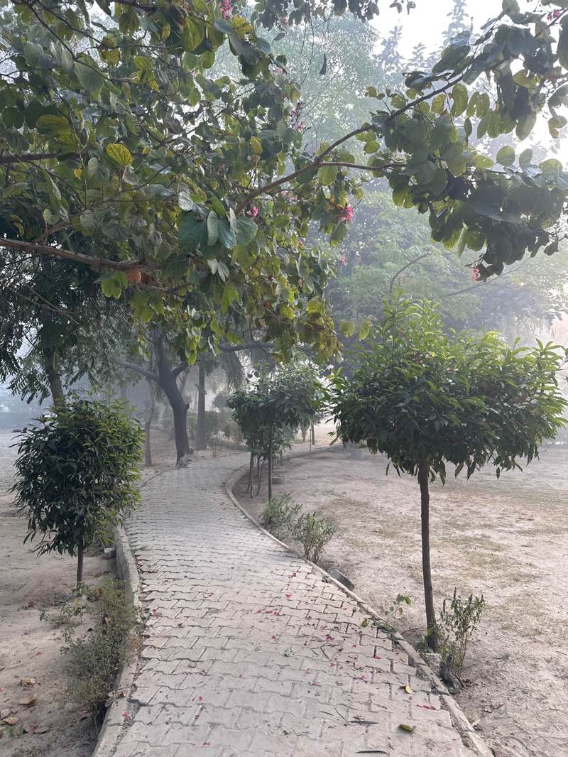 walking near me in Netaji Subhas Chandra Bose Park in winter