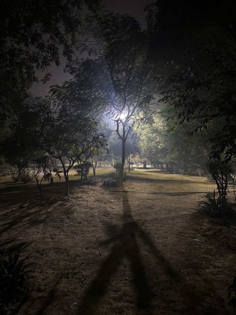 walking near me in Kala Pathar Park in winter
