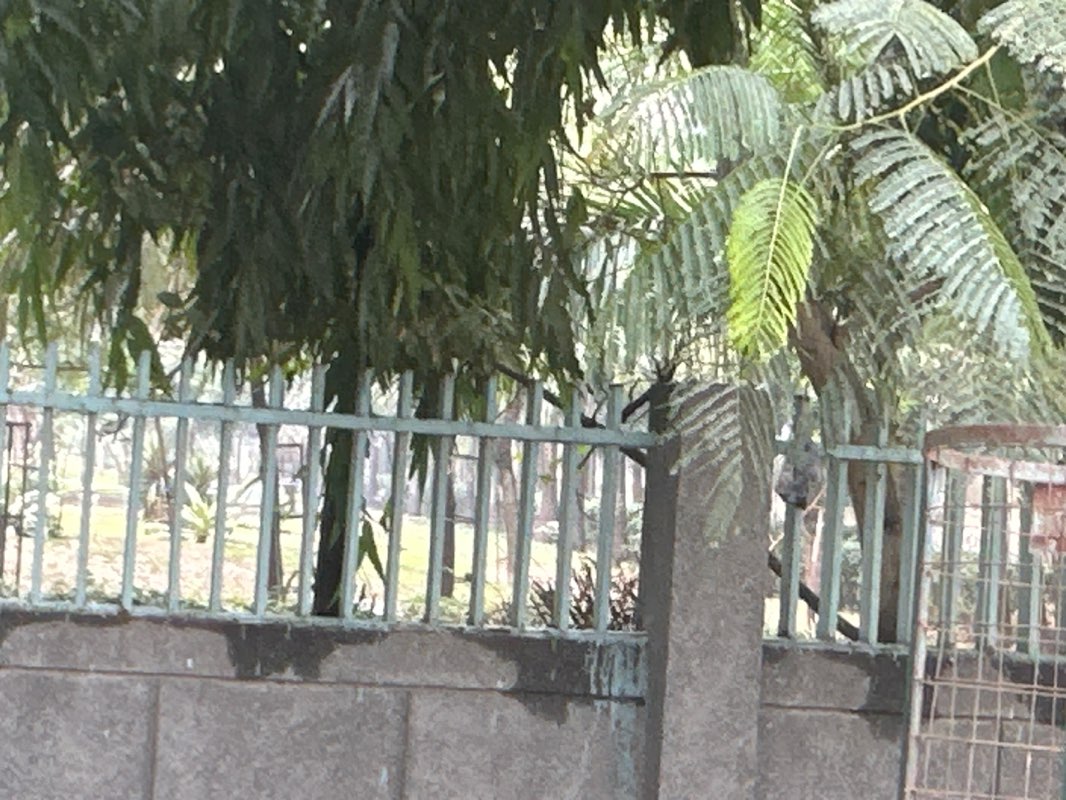 walking near me in Sector 137 Park in winter