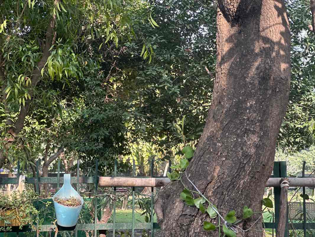 walking near me in E-Block Park in winter