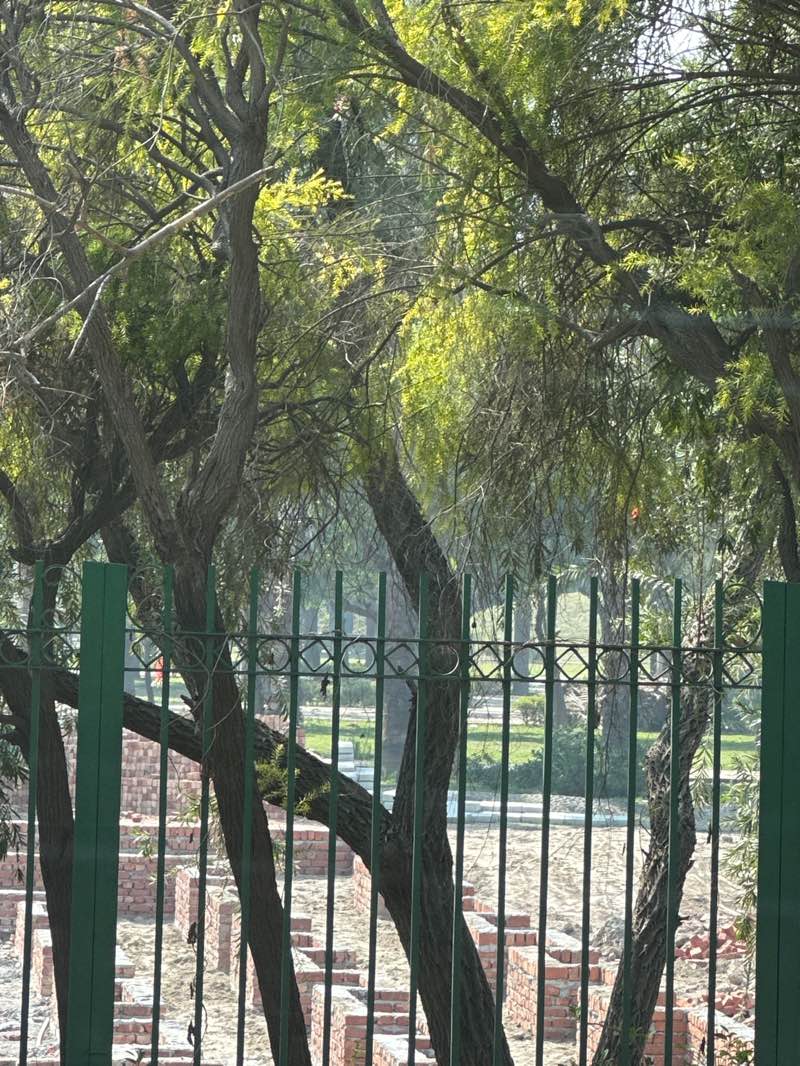 walking near me in Sector 132 Park in winter