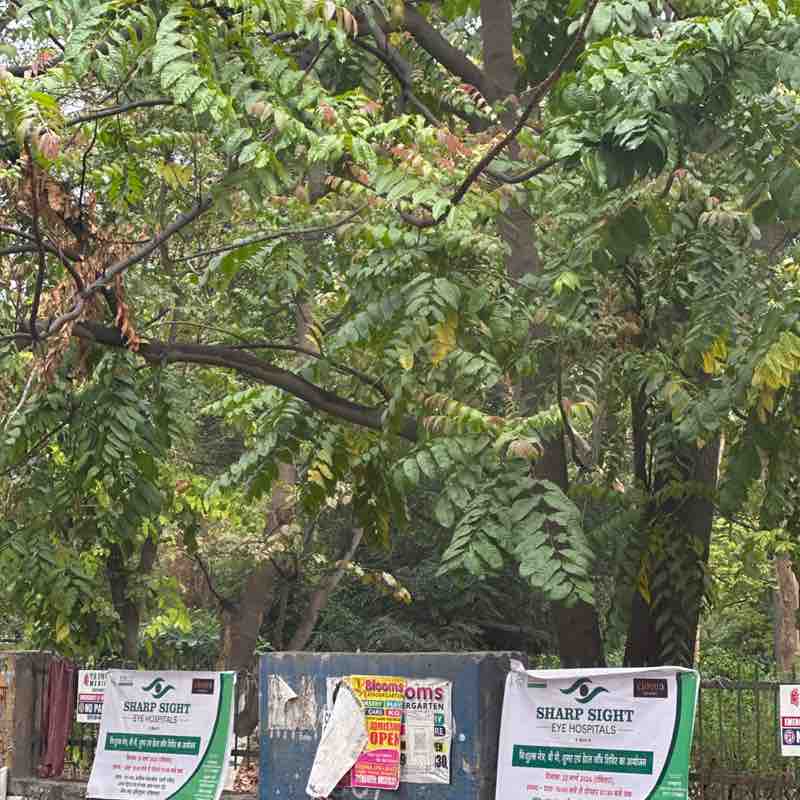 Lovey 🇮🇳 post 1