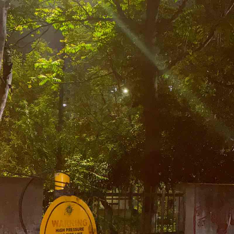 Lovey 🇮🇳 post 1