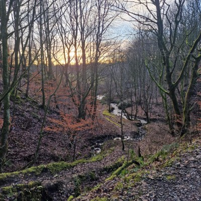 Fibro Warriors 💜 Denise Frain post image