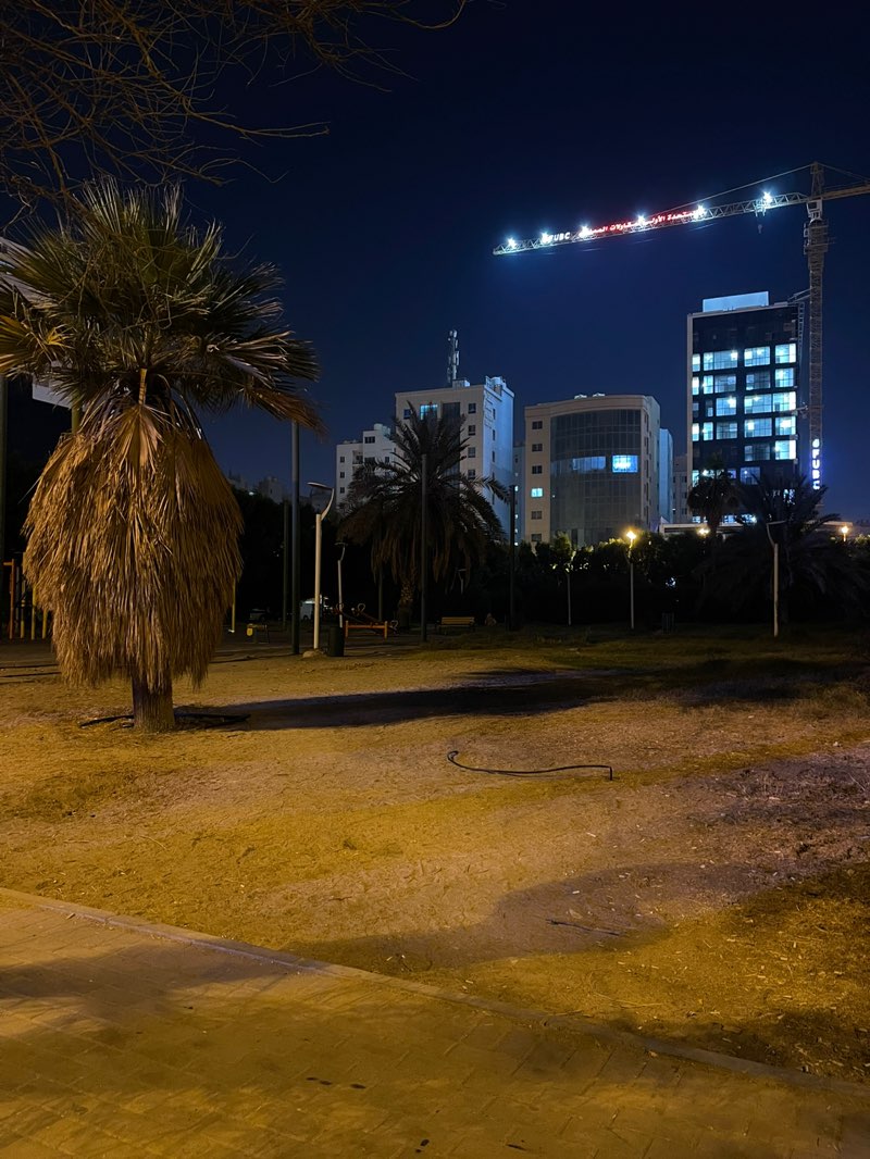 walking near me in Hawally Public Park in autumn