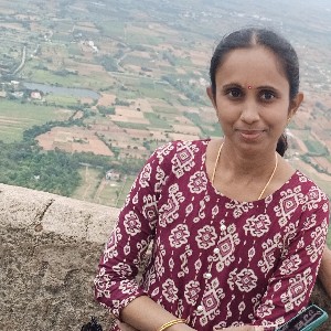 Bharathi Praveen icon