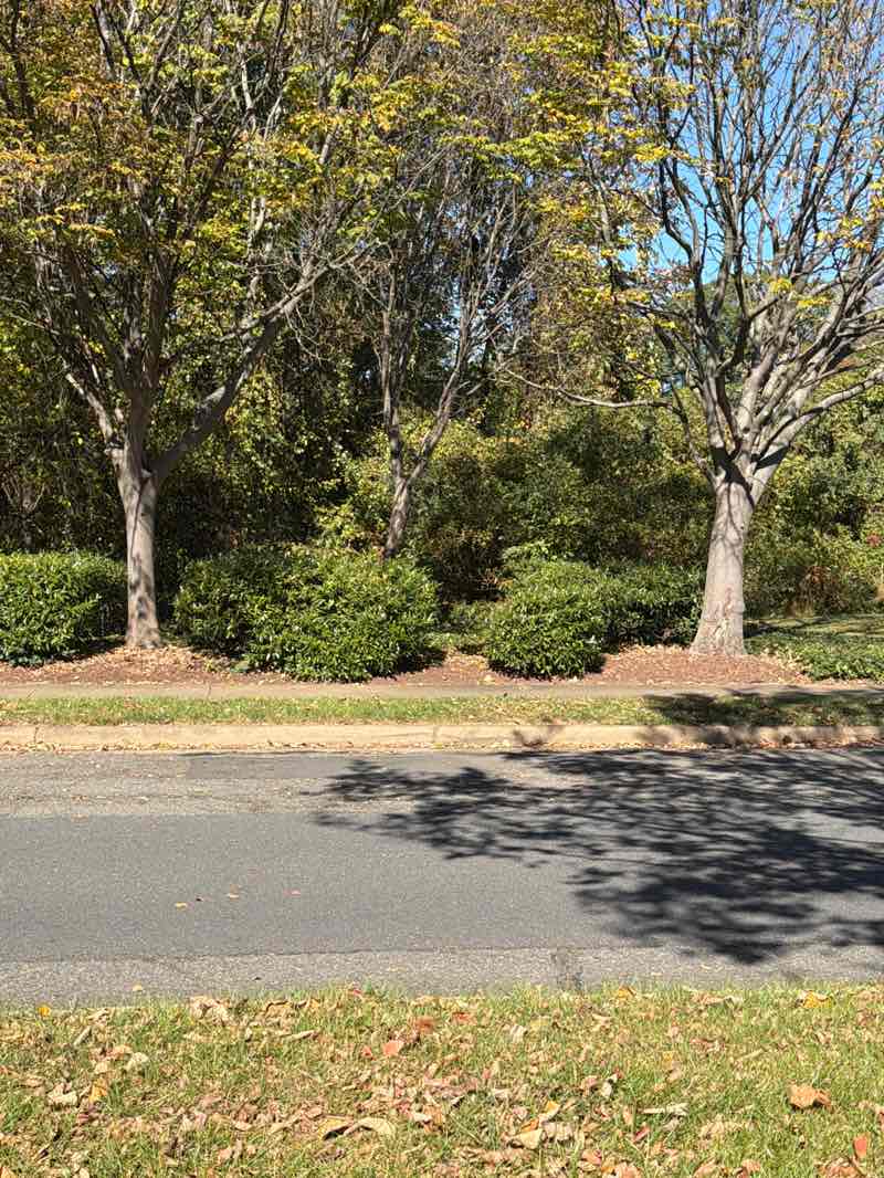 walking near me in Regents Park in autumn